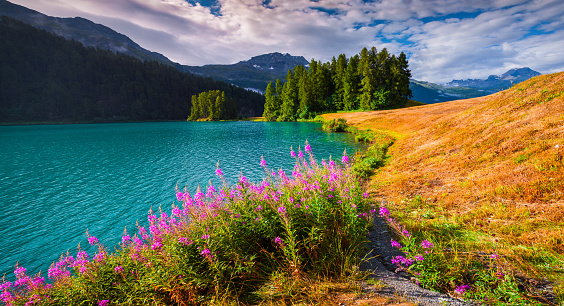 Colorful summer morning on the Champferersee lake. Silvaplana village in the morning mist. Alps, Switzerland, Europe.