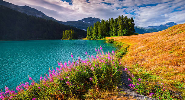 красочные летнее утро на champferersee озеро - silvaplana стоковые фото и изображения