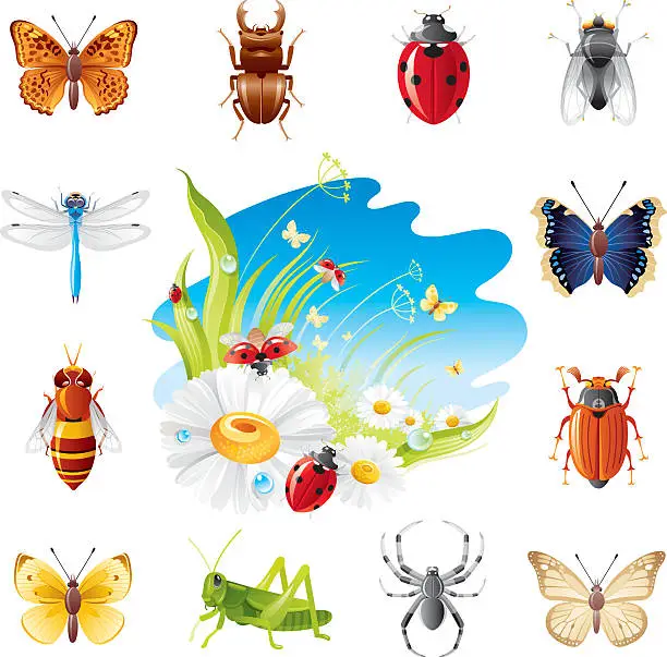 Vector illustration of Insect icon set