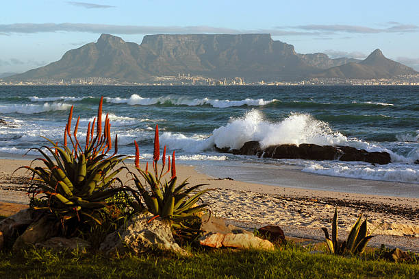 cape town e table mountain - table mountain foto e immagini stock