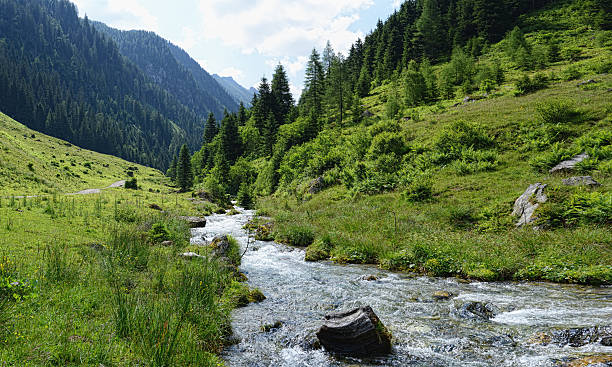 istock HDR of river landscape (Austria) 483676377