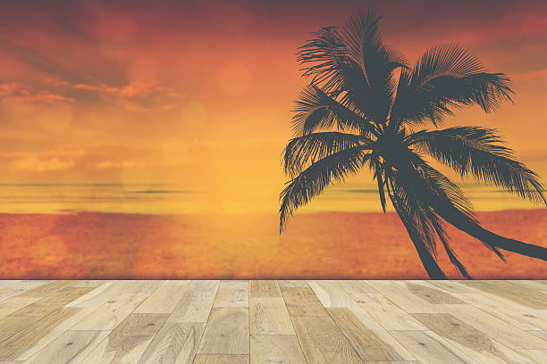 istock Wooden terrace with Coconut palms silhouette 483677612