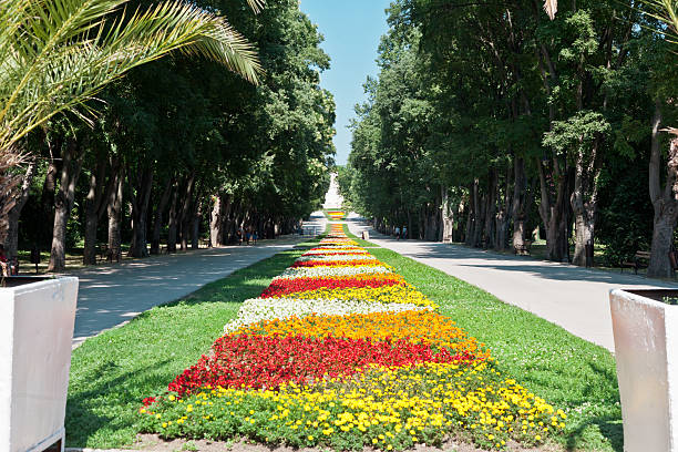 Beautiful alley with flowers.