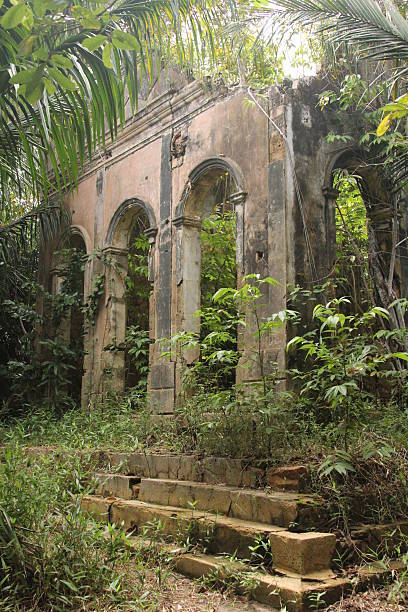 istock Ruins, Rio Negro, Amazon, Brazil 483677685