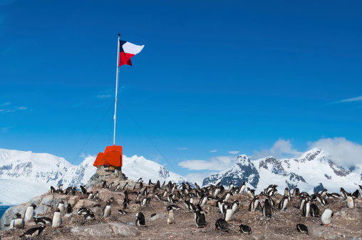 Chilean base Antarctica showing flag and penguins