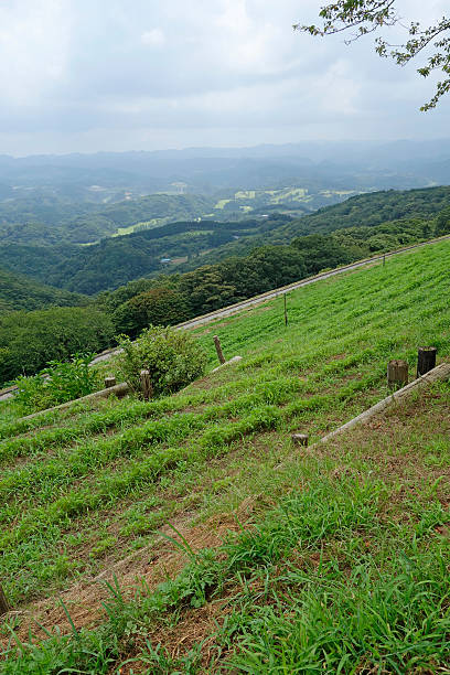istock Landscape of ranch 483683538