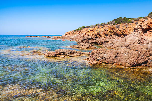 istock Coastal landscape with empty rocky wild beach 483687758