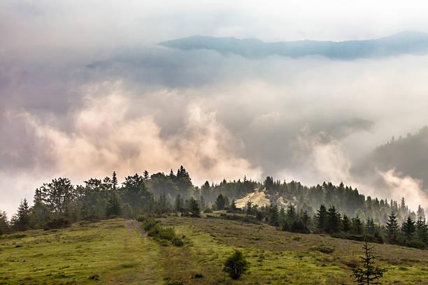 istock Misty morning in the Carpathians 483688154