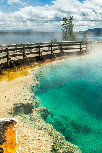 West Thumb Geyser Basin, Yellowstone N.P.