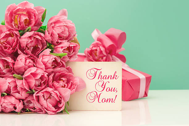 istock Pink tulips, gift ang greeting card 483690477