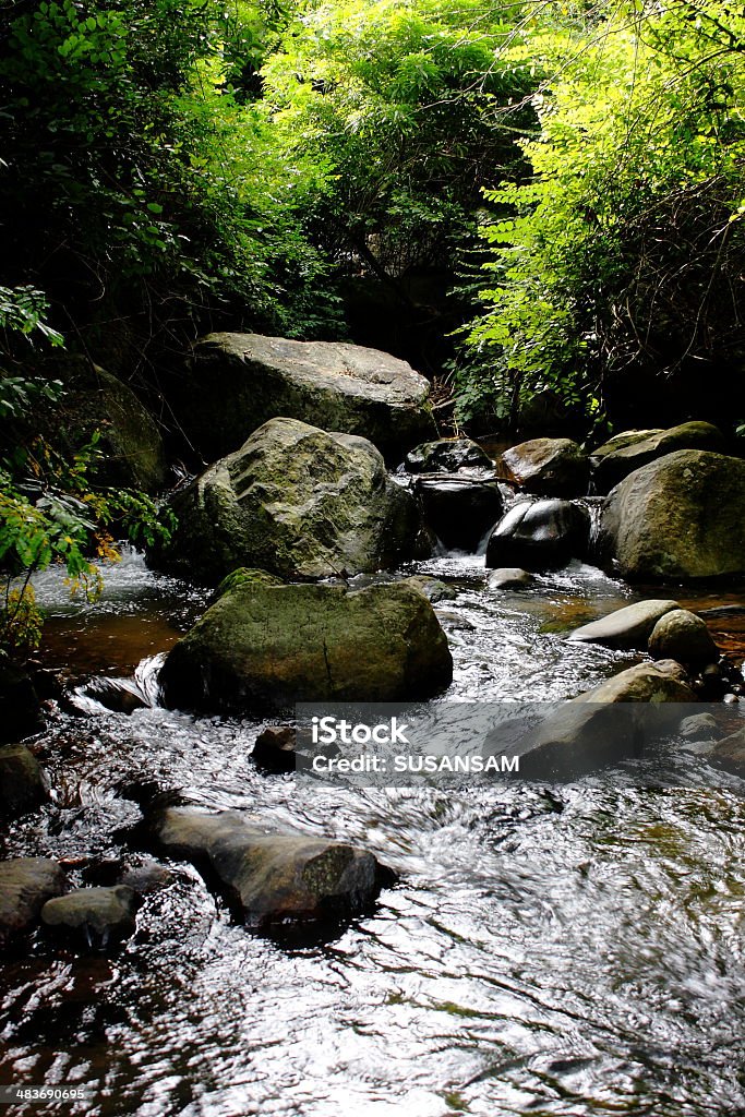 Cascade falls over mossy rocks Cascade falls over mossy rocks in the wild. Beauty In Nature Stock Photo