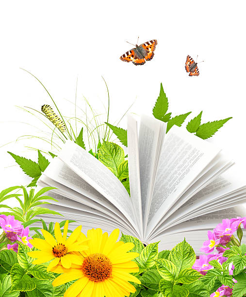 istock Book of nature 483693099