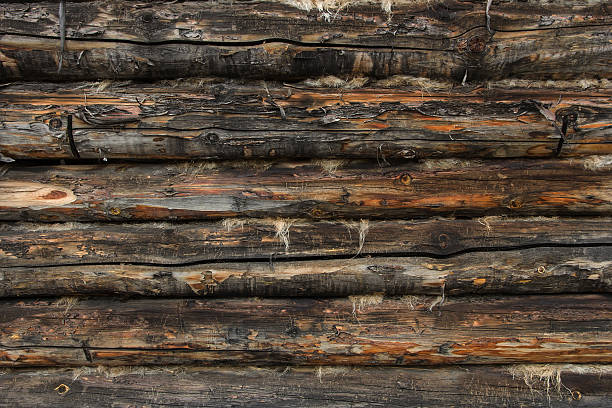 muro fatto di log - oakum foto e immagini stock