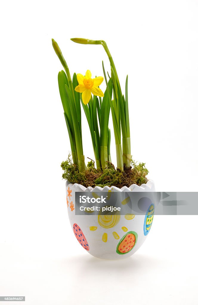 Narcisos em decorados vaso de flor - Foto de stock de Amarelo royalty-free