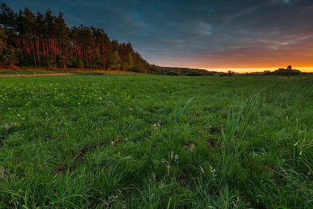 istock Beautiful sunrise over misty meadow 483695044