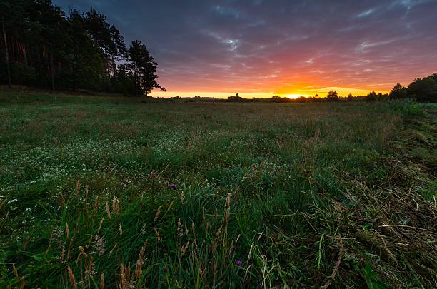 istock Beautiful sunrise over misty meadow 483695046
