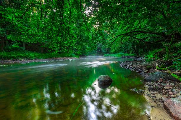 istock Beautiful wild river in summertime green forest 483695086