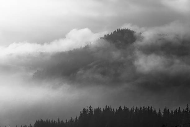 istock Misty morning in the Carpathians 483695142