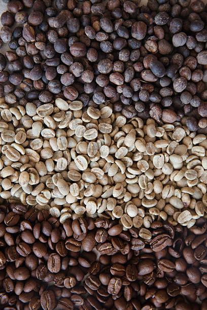 istock Coffee berries, green coffee beans and roasted coffee beans 483701772