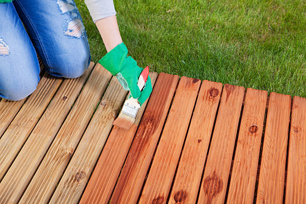 Applying protective varnish on a patio wooden floor stock photo