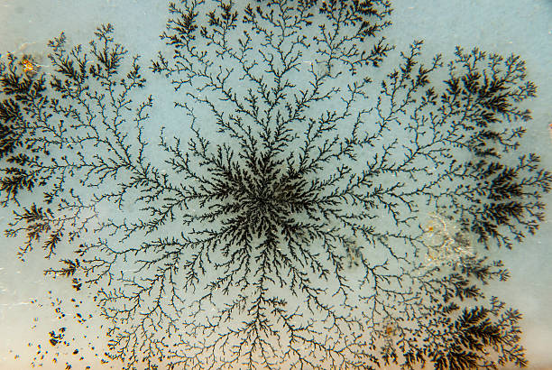 agata dendrite fiocco di neve - dendrite foto e immagini stock