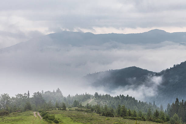 istock Misty morning in the Carpathians 483703236