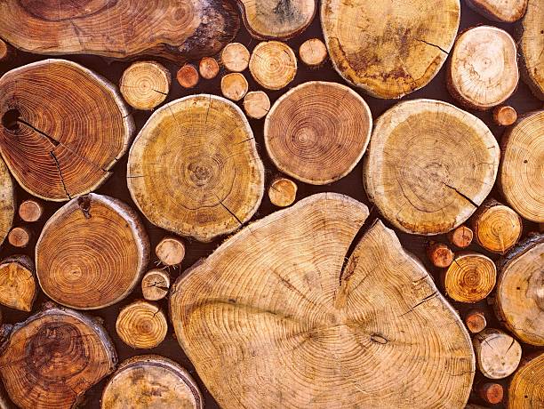 istock Cut edge of a pile of logs 483711820