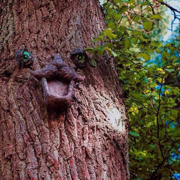A tree in the woods, decorated with eyes and a mouth