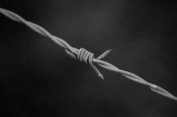 istock Barb Wire in Black and White 483712660