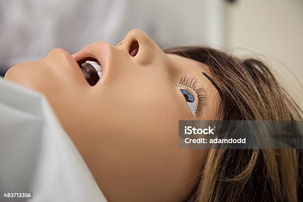 Hospital Training Dummy From Side Close Up Profile Stock Photo - Download Image Now