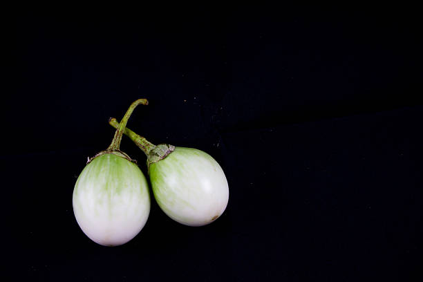 two figs black isolate stock photo