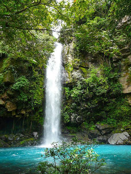 rio celeste wasserfall - costa rica waterfall heaven rainforest stock-fotos und bilder