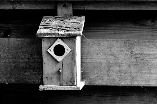 Black and white Image of an old, obsolete bird-box made of wood and nailed to a fence. The Aviary is surrounded by spider webs.
