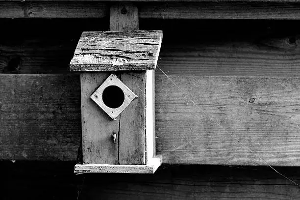 Black and white Image of an old, obsolete bird-box made of wood and nailed to a fence. The Aviary is surrounded by spider webs.