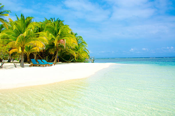 Relaxing on beach Southwater Caye Island in Belize cay photos stock pictures, royalty-free photos & images