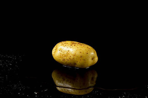 Potato stock photo
