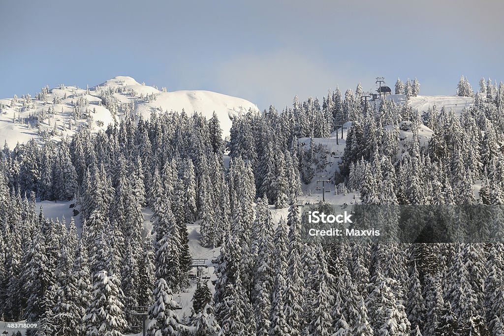 끼우개 시모어 피크, 신선한 인공눈, 밴쿠버 - 로열티 프리 Mount Seymour - British Columbia 스톡 사진