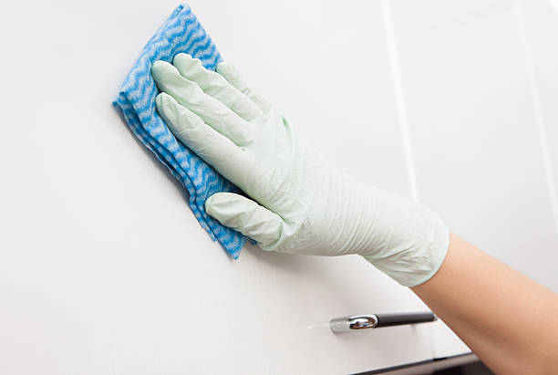 istock Woman Cleaning Cabinet 483718014