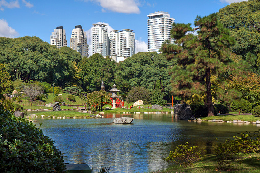 Buenos Aires, Argentina, April12, 2014: pond in Japanese garden (Jardin Japonés), with appartment buildings of the palermo neighbourhood in the back.