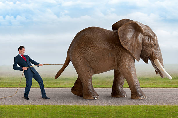 istock businessman trying to restrain an elephant 483718334