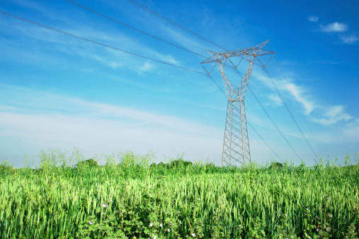 Overhead lines towers across a landscape with cornfields on spring