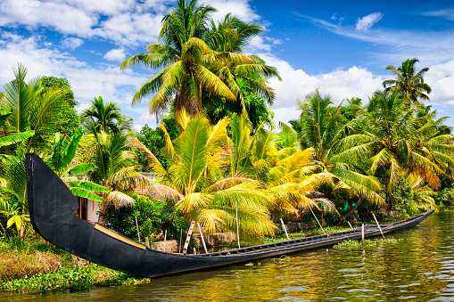 Traditional Kerala snake boat (Chundan Vallam) moored on the Kerala Backwaters in India. 