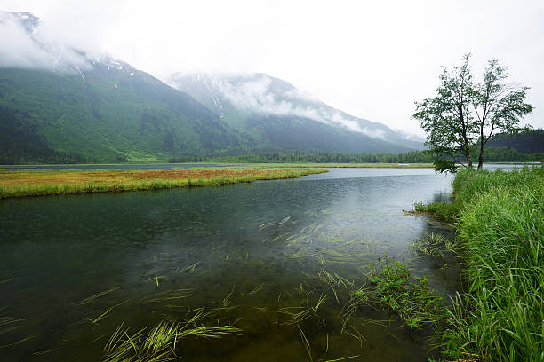 istock Green mountains and river in Alaska 483722924
