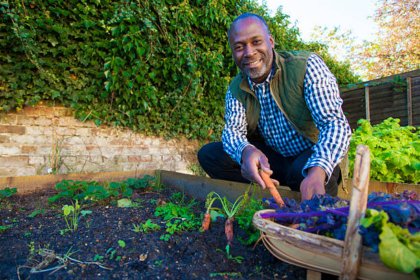 istock Mature man with organic carrots 483723325