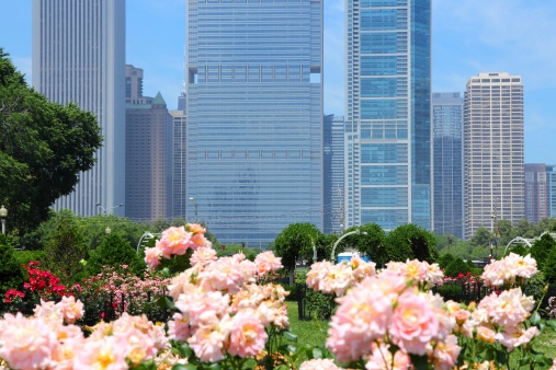 Chicago, Illinois in the United States. City skyline with Grant Park flowers.