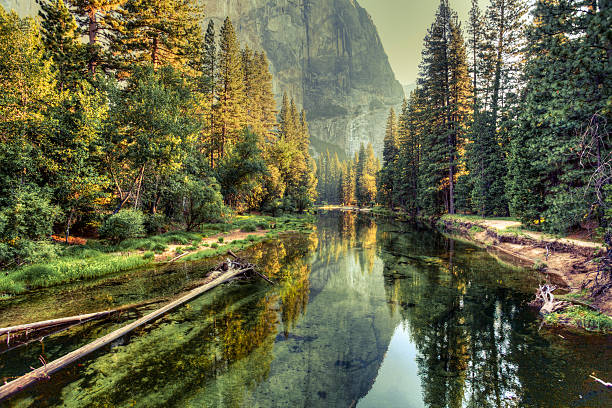 valle de yosemite paisaje y al río, california - paisaje escénico fotos fotografías e imágenes de stock