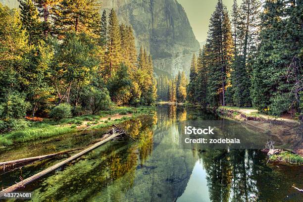 Yosemite Valley Landscape And River California Stock Photo - Download Image Now - Landscape - Scenery, Nature, Forest