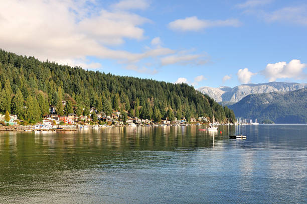 istock residential area by Deep Cove 483725862