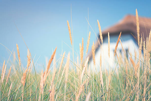 dunas con poco casa de vacaciones - thatched roof fotografías e imágenes de stock