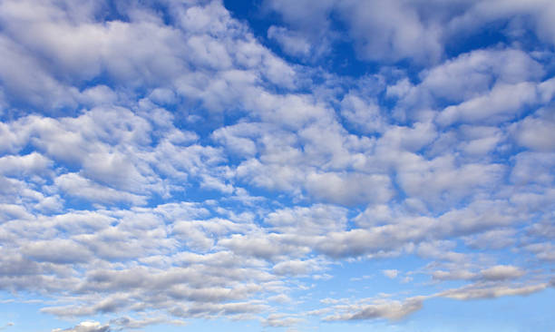 błękitne niebo chmury cumulus wszystkie w - sky only sky cirrocumulus window zdjęcia i obrazy z banku zdjęć
